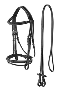 Bridle complete with reins made out of English leather.