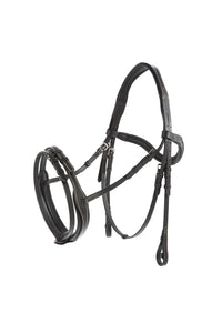 Bridle made out of leather with sleek anatomical headpiece and convex noseband.